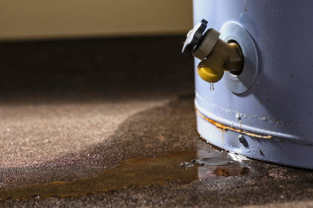 Best Water damage restoration near me  in Orchard City, CO