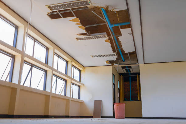 Best Professional water damage repair  in Orchard City, CO