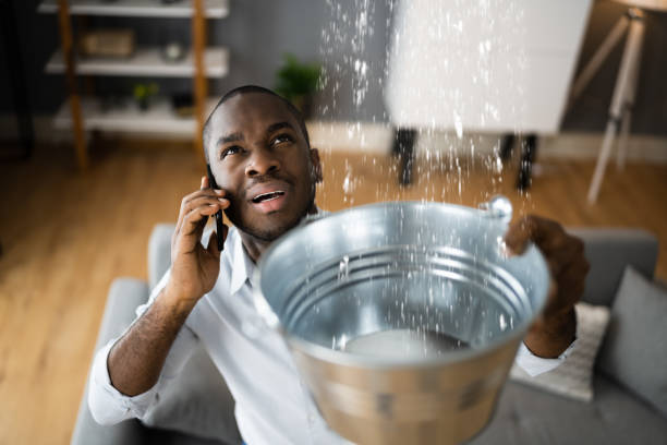  Orchard City, CO Water damage restoration Pros