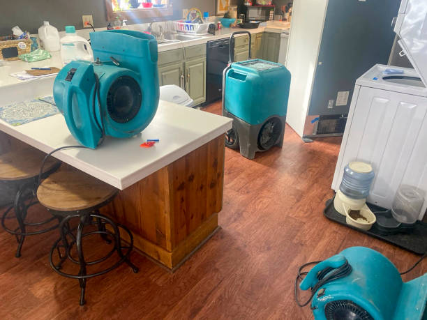 Best Carpet water damage restoration  in Orchard City, CO