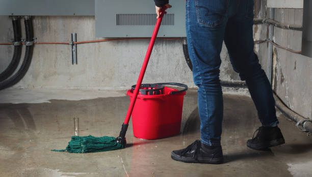 Best Mold removal after water damage  in Orchard City, CO