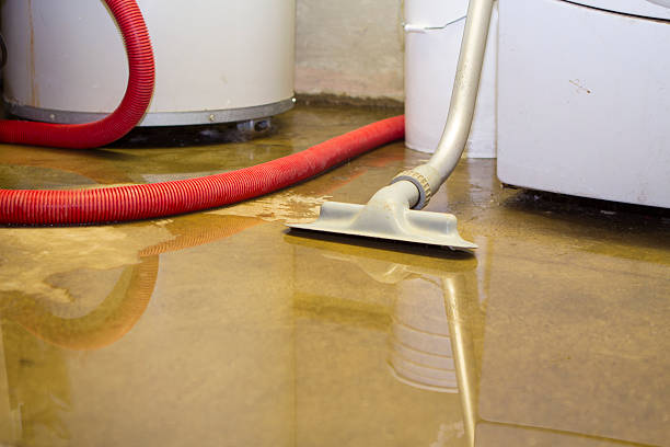 Best Flood damage cleanup  in Orchard City, CO