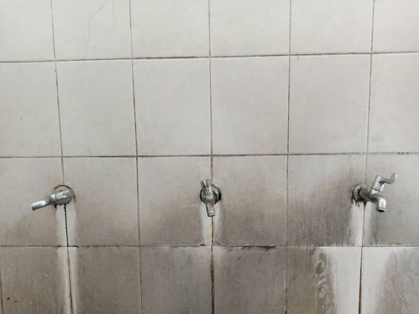 Best Water damage contractors near me  in Orchard City, CO