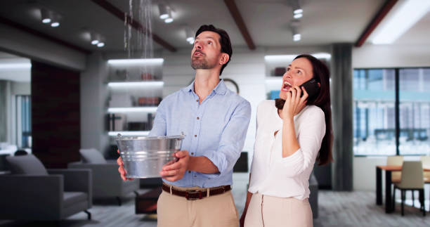 Best Flooded house restoration  in Orchard City, CO